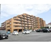 ルピナス朝霞台