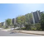 ザ・レジデンス津田沼奏の杜テラス