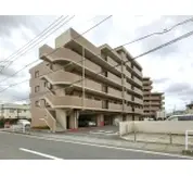 アデニウム千葉みなと