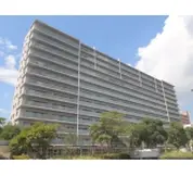 ダイアパレスパレッティア