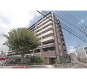 サンクレイドル桜街道II