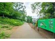 江古田の森公園