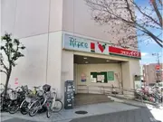 コモディイイダ川口リプレ店