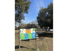 【埼玉県/さいたま市緑区宮本】さいたま市緑区宮本二丁目　土地 見沼氷川公園 約130m