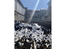 【東京都/中野区大和町】中野区大和町4丁目 土地 本物件北側より撮影(2026年2月撮影)