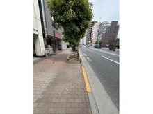 【東京都/北区田端新町】北区田端新町1丁目 土地 南西側前面道路