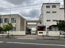 【愛知県/名古屋市東区百人町】名古屋市東区百人町 土地 名古屋市立筒井小学校 約480m