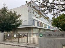 【東京都/世田谷区羽根木】世田谷区羽根木2丁目 土地 周辺施設