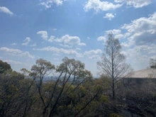 【兵庫県/西宮市苦楽園一番町】兵庫県西宮市苦楽園一番町 眺望