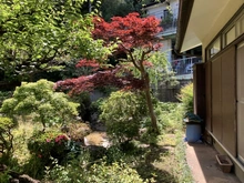 【神奈川県/藤沢市白旗】藤沢市白旗4丁目　土地 庭スペース