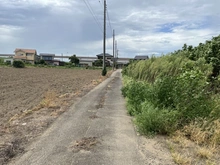【茨城県/猿島郡境町大字塚崎】猿島郡境町大字塚崎　土地 前面道路