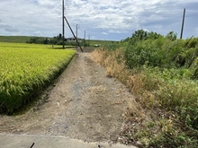 【茨城県/猿島郡境町大字塚崎】猿島郡境町大字塚崎　土地 前面道路