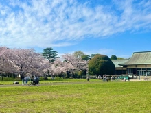 【東京都/小金井市梶野町】小金井市梶野町3丁目　土地 小金井公園（現地より約420m）
