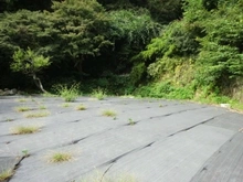 【神奈川県/鎌倉市御成町】鎌倉市御成町　土地 現地