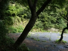 【神奈川県/鎌倉市御成町】鎌倉市御成町　土地 現地