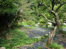 【神奈川県/鎌倉市御成町】鎌倉市御成町　土地 現地