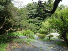 【神奈川県/鎌倉市御成町】鎌倉市御成町　土地 現地