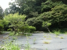 【神奈川県/鎌倉市御成町】鎌倉市御成町　土地 現地
