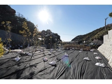【神奈川県/鎌倉市極楽寺】鎌倉市極楽寺1丁目　NO1／全6区画 現地