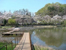 【神奈川県/横浜市青葉区柿の木台】横浜市青葉区柿の木台　土地 もえぎ野公園（現地より約900m）：