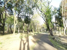【東京都/小金井市前原町】小金井市前原町2丁目　売地 武蔵野公園（現地より約400m）