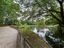 【東京都/杉並区清水】杉並区清水2丁目　土地 妙正寺公園（現地より約380m）
