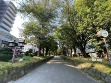 【埼玉県/さいたま市大宮区堀の内町】さいたま市大宮区堀の内町2丁目 売地 氷川参道　（現地より約560m）