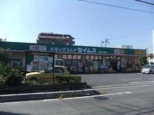 【埼玉県/さいたま市大宮区堀の内町】さいたま市大宮区堀の内町2丁目 売地 ドラッグストアセイムス堀の内町店（現地より約90m）