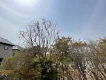 【大阪府/吹田市円山町】大阪府吹田市円山町　土地 眺望