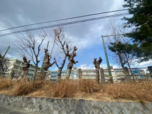 【兵庫県/西宮市久出ケ谷町】西宮市久出ケ谷町　土地 西宮市立夙川小学校（現地より約230m）