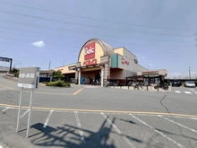 【埼玉県/新座市池田】新座市池田4丁目古家付土地 ベルク　池田店（現地より約660m）：