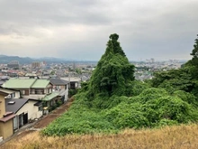 【埼玉県/日高市大字中鹿山】埼玉県日高市大字中鹿山字前山 現地