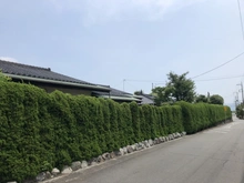 【静岡県/三島市若松町】三島市若松町　古家付土地 現地（古家あり）