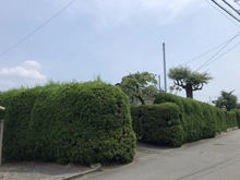 【静岡県/三島市若松町】三島市若松町　古家付土地 現地（古家あり）