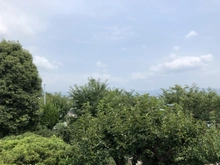 【静岡県/三島市若松町】三島市若松町　古家付土地 眺望