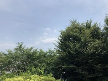 【静岡県/三島市若松町】三島市若松町　古家付土地 眺望