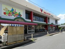 【埼玉県/さいたま市浦和区領家】さいたま市浦和区領家3丁目　売地 コモディイイダ北浦和店（現地より約800m）