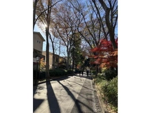 【埼玉県/さいたま市大宮区浅間町】さいたま市大宮区浅間町1丁目建築条件付土地 氷川神社参道（現地より約190m）