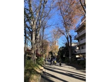 【埼玉県/さいたま市大宮区浅間町】さいたま市大宮区浅間町1丁目建築条件付土地 氷川神社参道（現地より約190m）