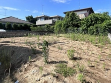 【千葉県/柏市布施新町】柏市布施新町2丁目／土地 現地