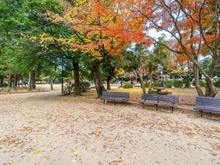 【東京都/杉並区下井草】杉並区下井草4丁目　売地　区画3 杉並区立妙正寺公園（現地より約340m）