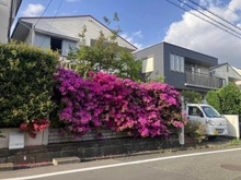 【東京都/町田市南成瀬】町田市南成瀬1丁目　土地 現地（古家あり）