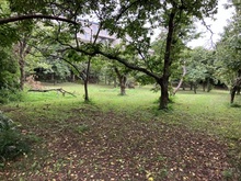 【東京都/町田市小野路町】町田市小野路町　売地 現地