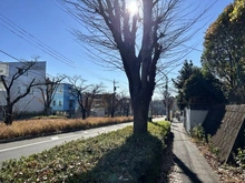 【神奈川県/川崎市多摩区南生田】川崎市多摩区南生田2丁目　土地 前面道路