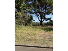 【東京都/大島町差木地】大島町差木地字山口 売地 現地