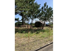 【東京都/大島町差木地】大島町差木地字山口 売地 現地