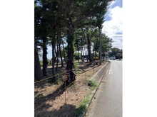 【東京都/大島町差木地】大島町差木地字山口 売地 前面道路