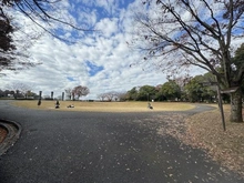 【東京都/稲城市百村】稲城市百村　土地 稲城中央公園（現地より約451m）