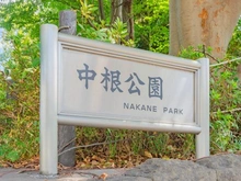 【東京都/目黒区中根】目黒区中根1丁目 中根公園（現地より約400m）：