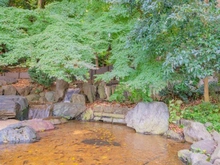 【東京都/目黒区中根】目黒区中根1丁目 中根公園（現地より約400m）：